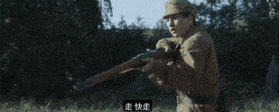 車諾比核爆炸35年後，那裡的貓貓狗狗們怎麼樣了？ 萌趣萌寵 第2张