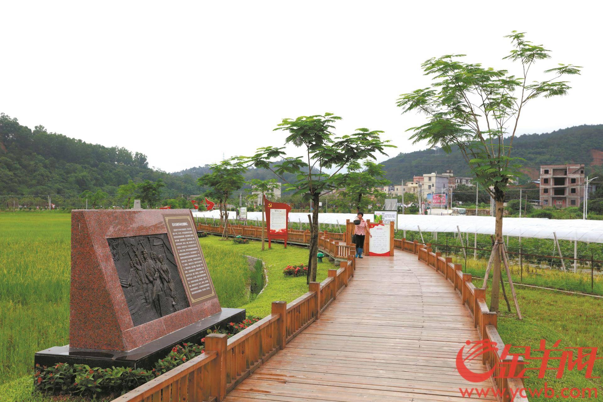 现代农业+旅游 茂名信宜市北逻村颜值高了村民富了