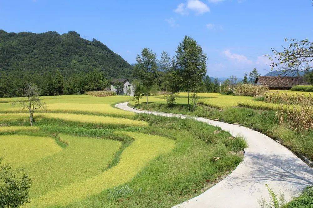 万源市:强基固本挖穷根 一枝一叶总关情