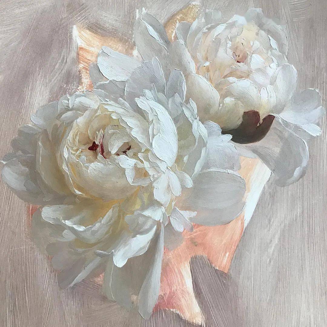 白色花卉的画法