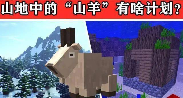 "1.17山羊有啥更新计划?"来自mc官方:可以爬树,还会滚下山!