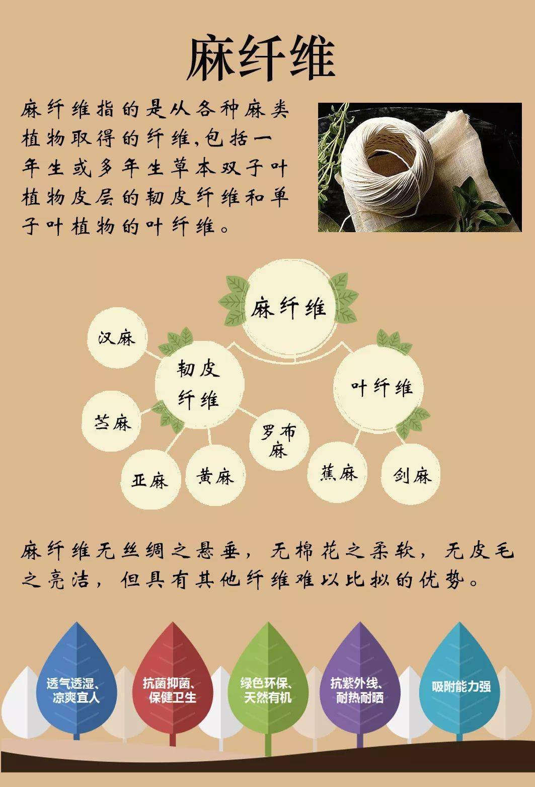 科普课堂丨古老而又神奇的汉麻_处理