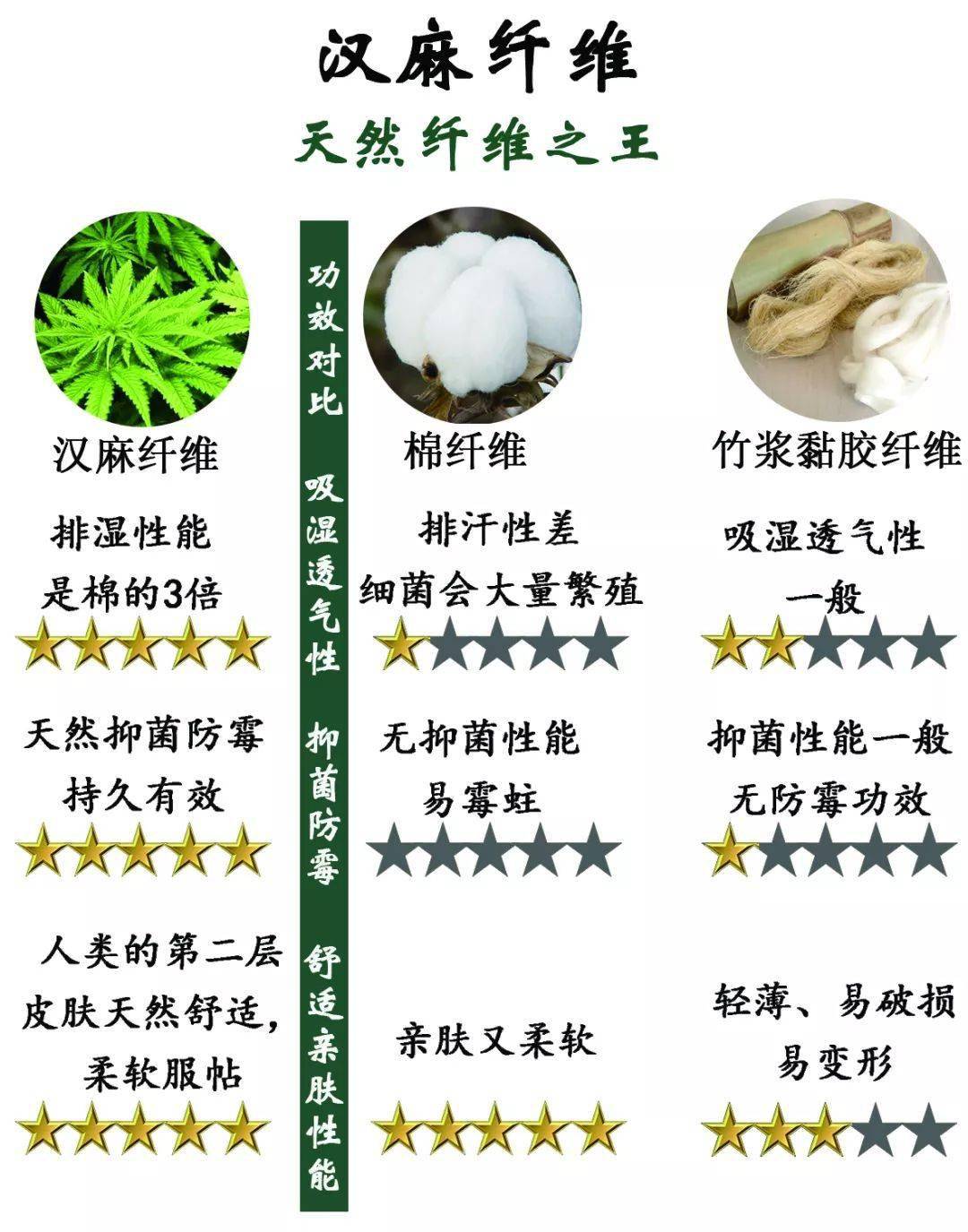 科普课堂丨古老而又神奇的汉麻