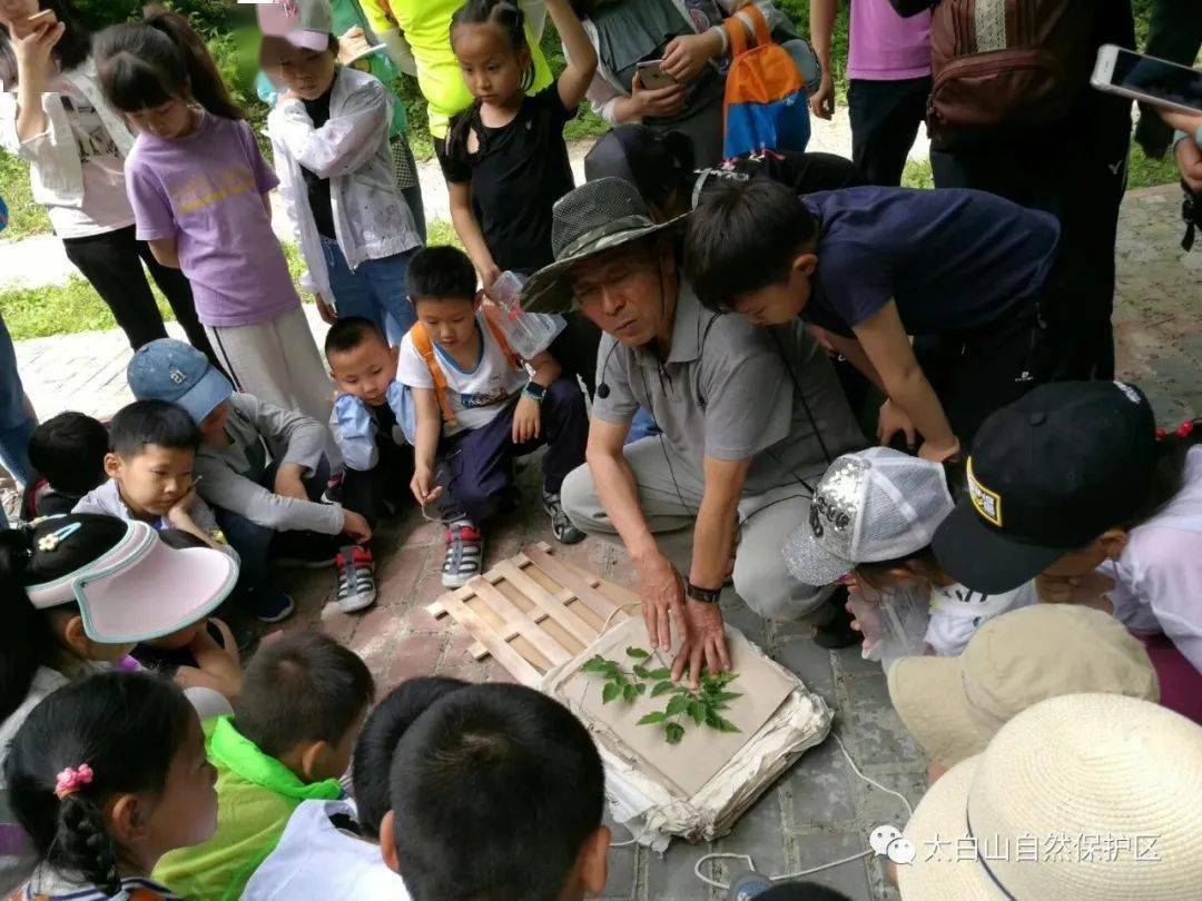 探索大自然的橋樑太白山紅河谷研學基地