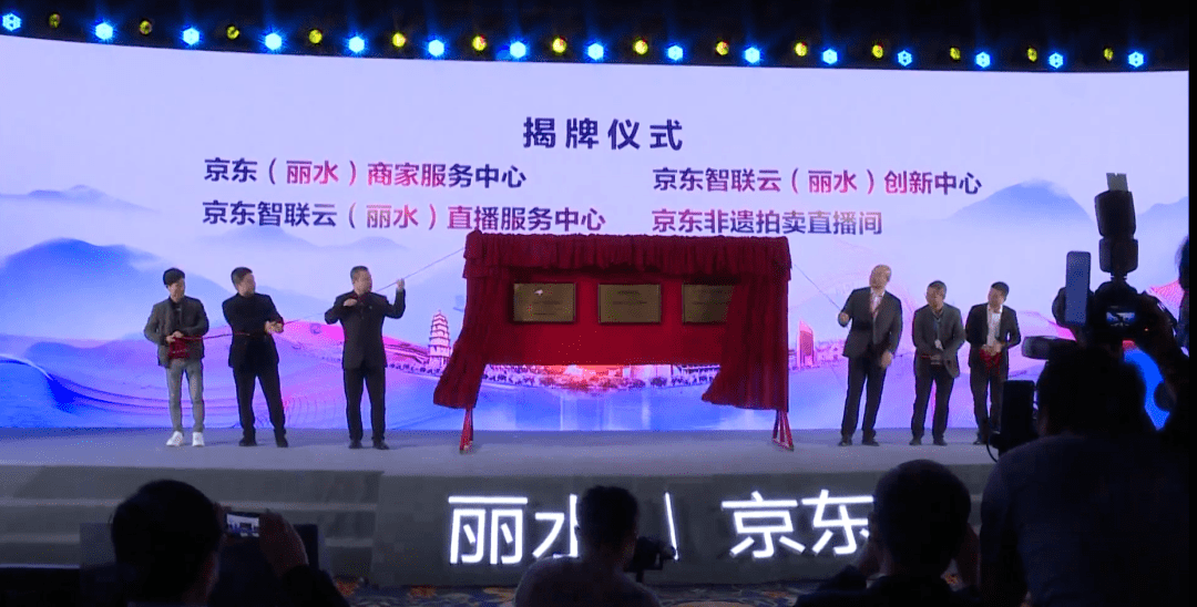 2021丽水gdp_2021丽水红线图(3)