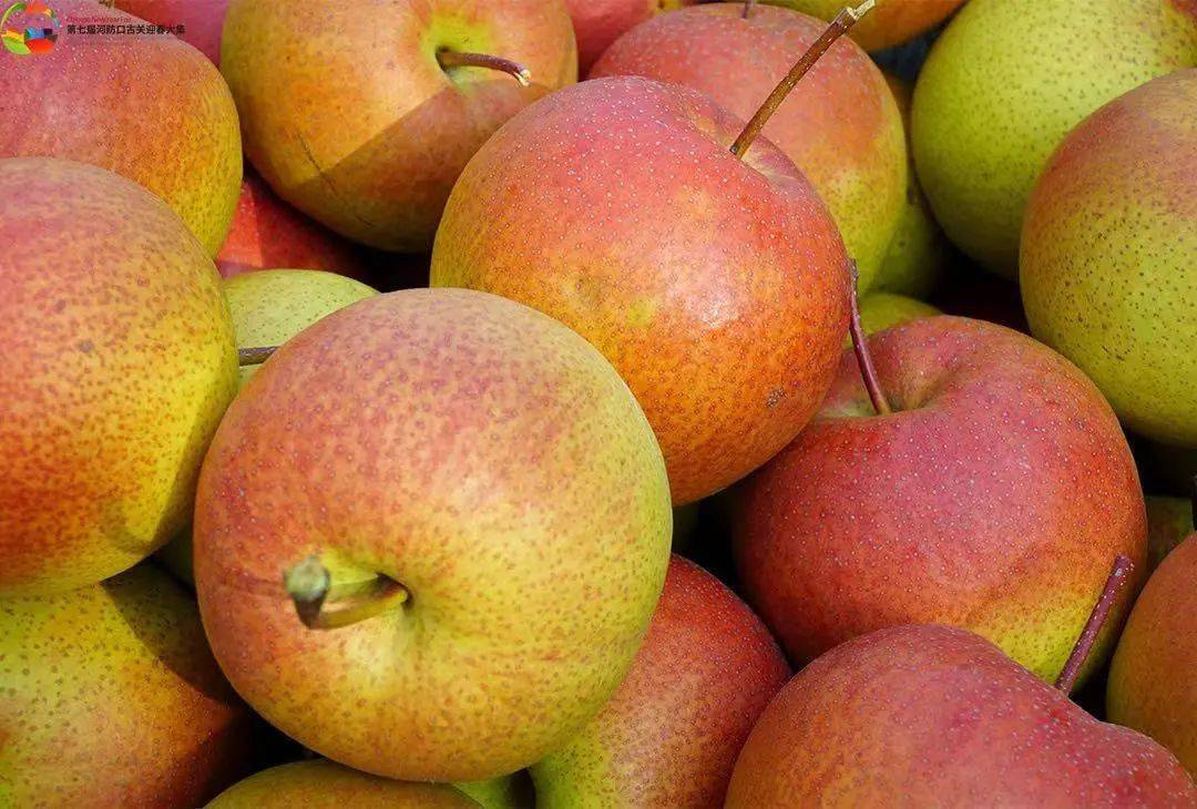 【第七届河防口古关迎春大集线上商城】送礼佳品!"京北之果"红肖梨来