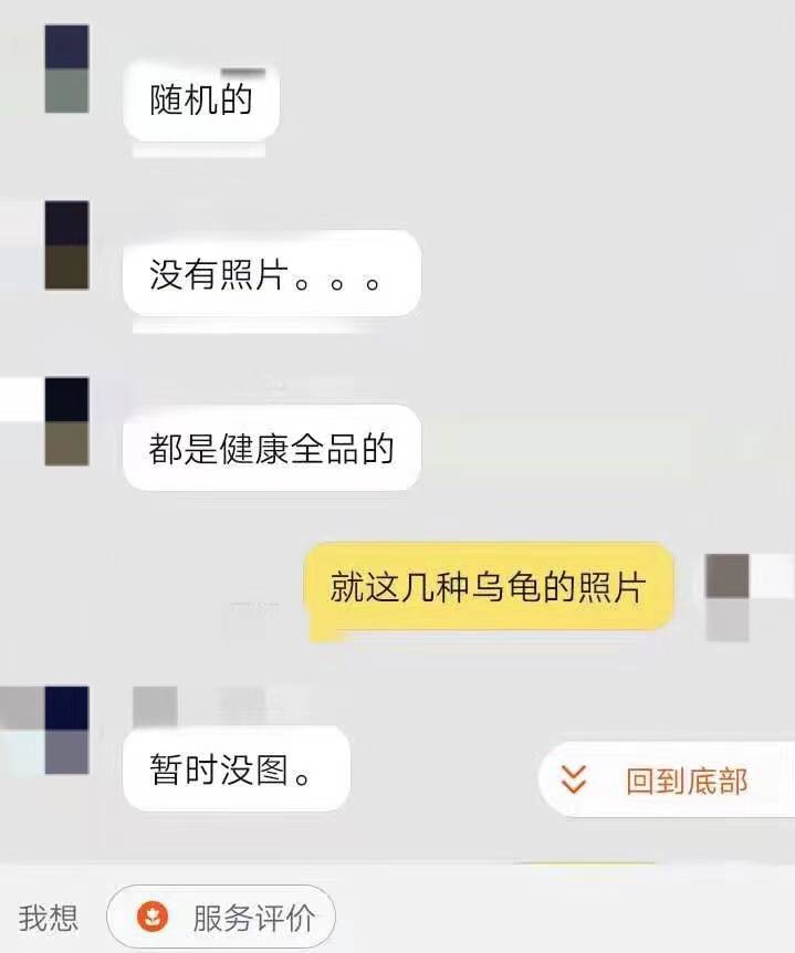 网购平台出现活体动物盲盒，有卖家无法提供健康证明且称不予退换插图2