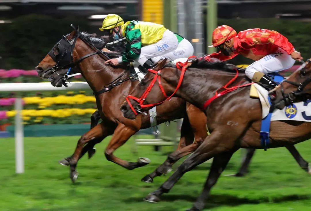 跑馬地賽事|告東尼中三元「幸福老撾」力爭打吡入場劵_馬匹