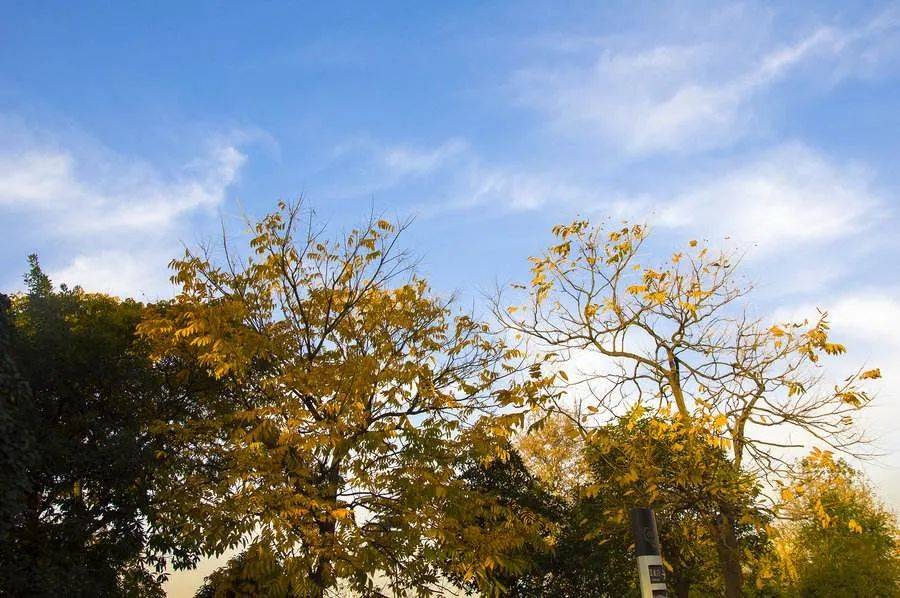 〔鹤壁•天气〕周末天气晴好,温差稍大,仍要保暖_温度