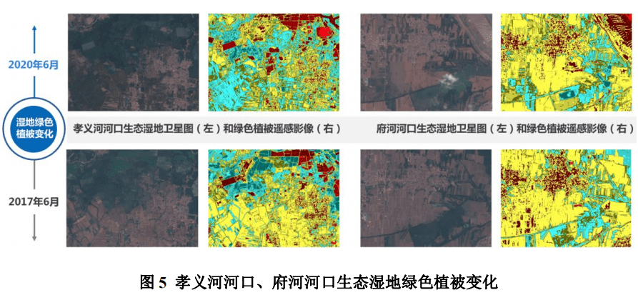 建设|大数据看雄安：去年11月青年常住人口同比增长37.35%