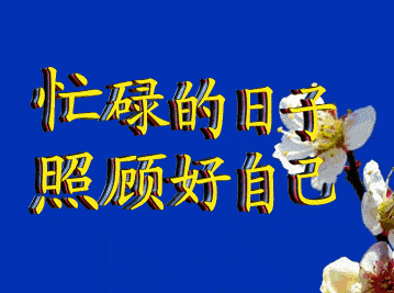 不用打字就可以聊天的图片