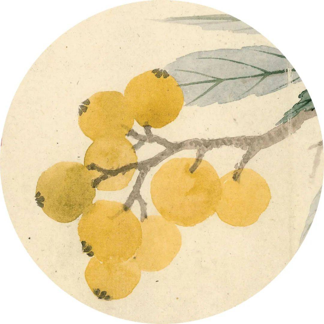 看中国的传统色 | 它们是翅羽,丝帛,草木和天空