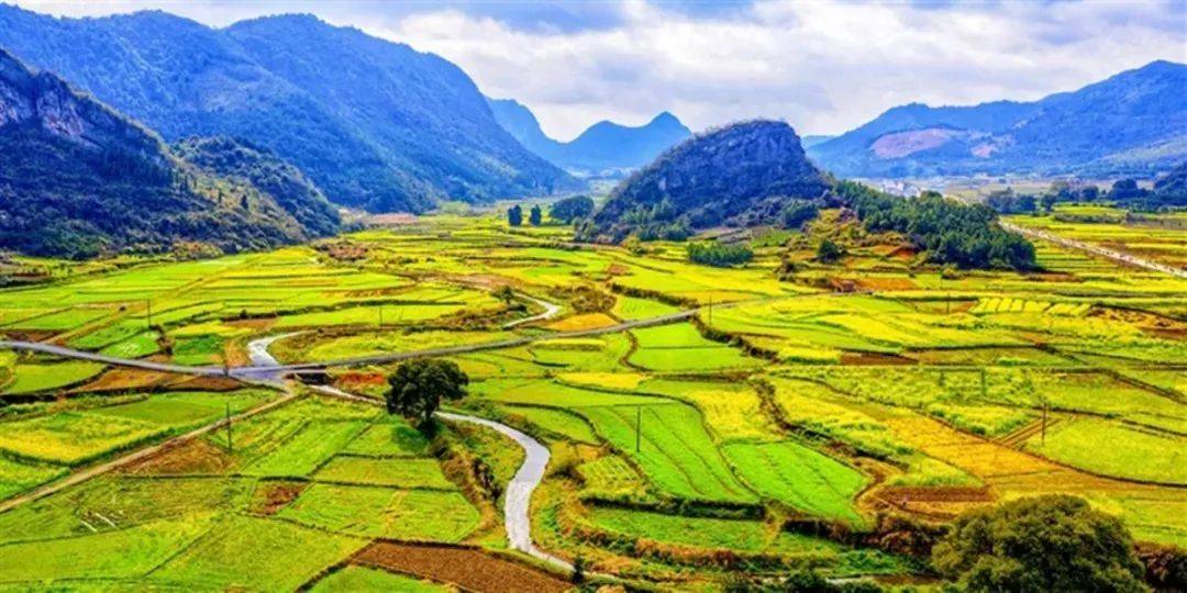 深入开展净土行动渝水区坚决打好污染防治攻坚战