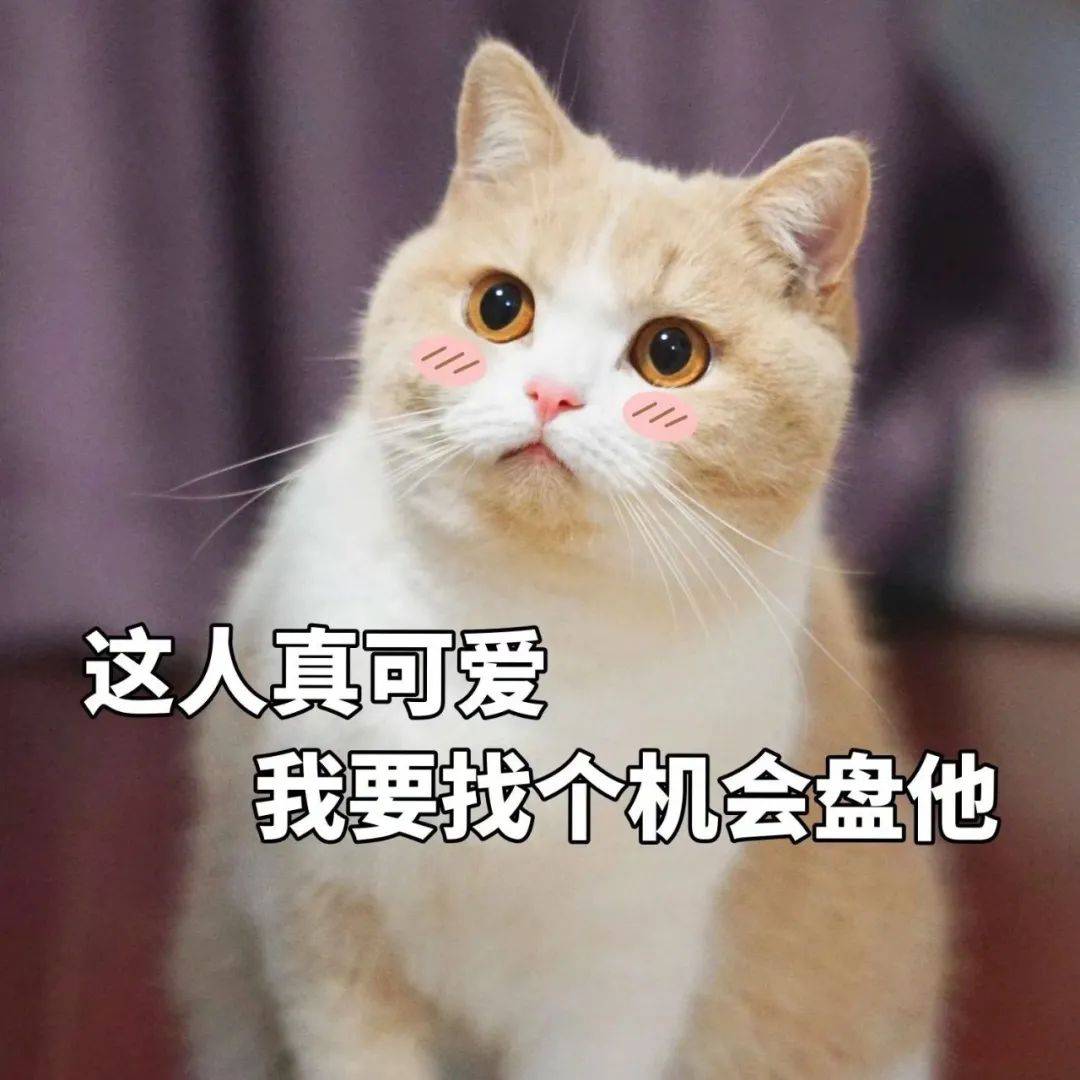 c6f544b5088d48cb92409cd7b9bd6daa.jpeg