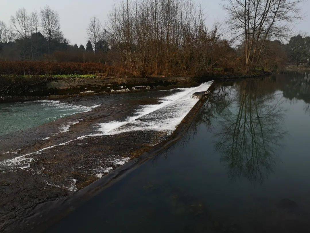 行李︱王成&夏瑞莲:大河恋「送菜」