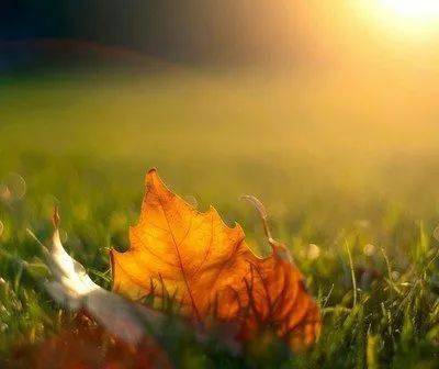 怎么才能变得宽容大度 7eb835e73aed4e819cf06a31712a2a21.jpeg