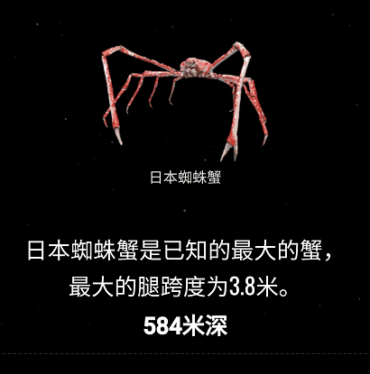 在760米深时可以发现太平洋巨型章鱼:自带「发光灯泡」的深海琵鱼则