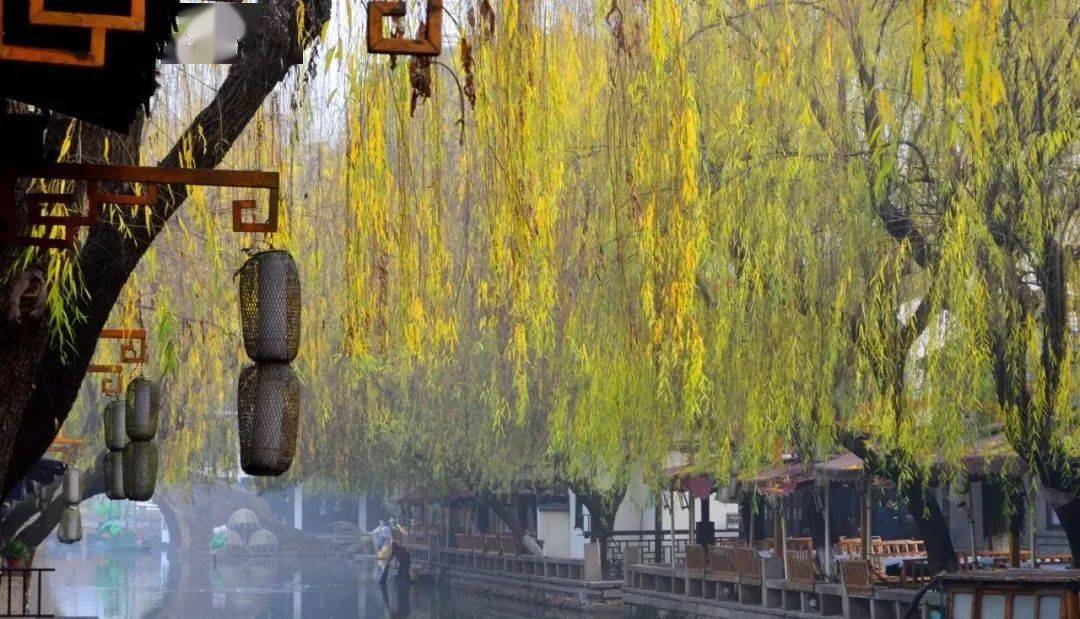 没顶汽车后边一根烟猜成语_一根烟图片(2)