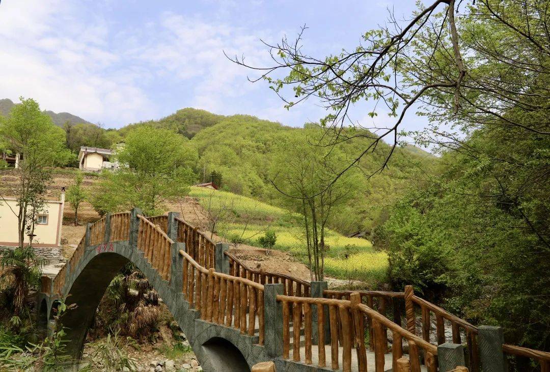 杨家河:文明之光照亮振兴之路