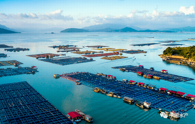 福建省海上养殖综合整治和绿色发展有新招