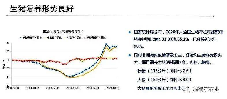 权威信息与市场趋势分析