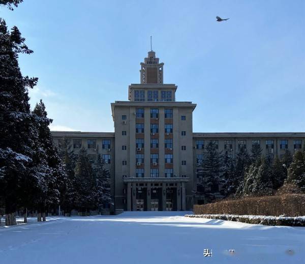 東北大學雪景老建築在雪後更好看