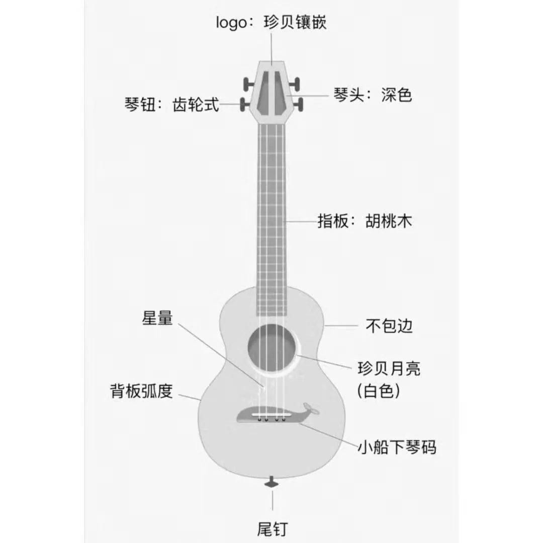 世界上最孤独的鲸，52赫兹鲸鱼Alice，他的歌声你听过吗？_搜狐网