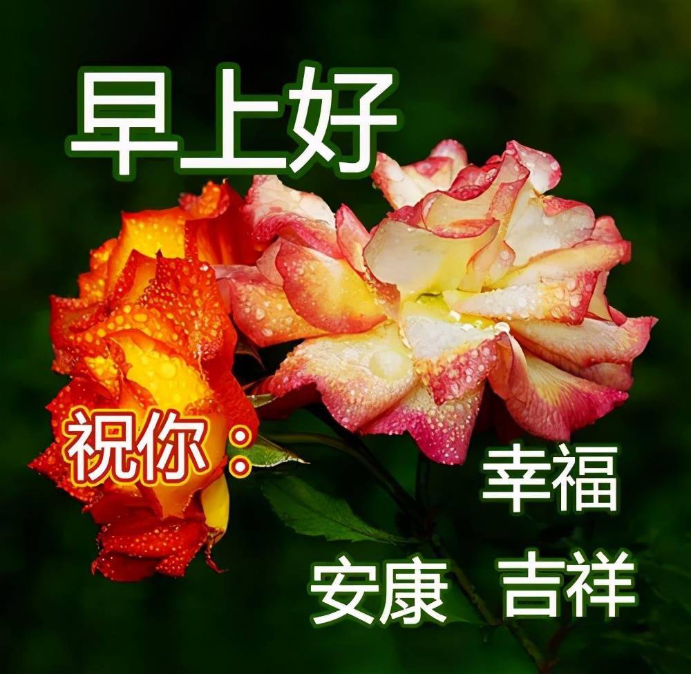 早晨安好再见1月你好2月不念过往不惧将来早上好