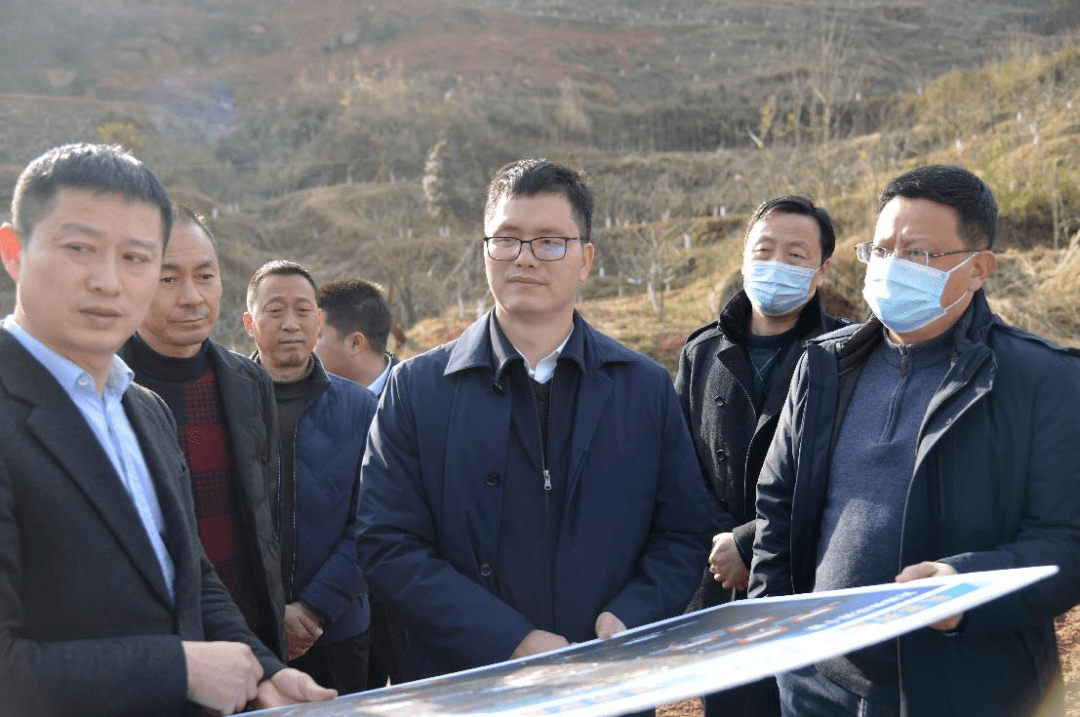 郭祖炎调研龙潭农旅融合提升项目工作