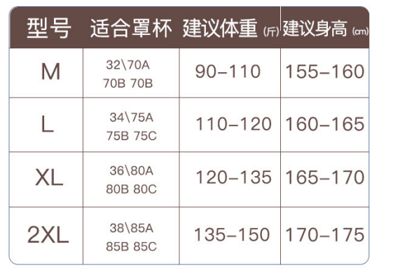 无尺码内衣_内衣的尺码(2)