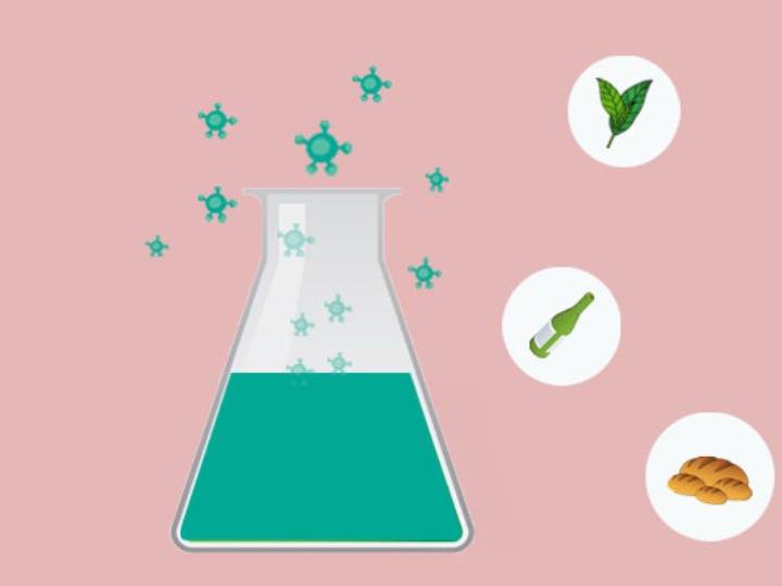 微生物的发酵在生活中的应用