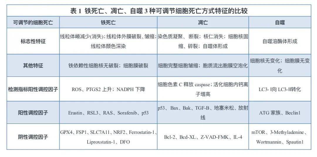 科普铁死亡基础科普及谱领铁死亡研究专项服务方案
