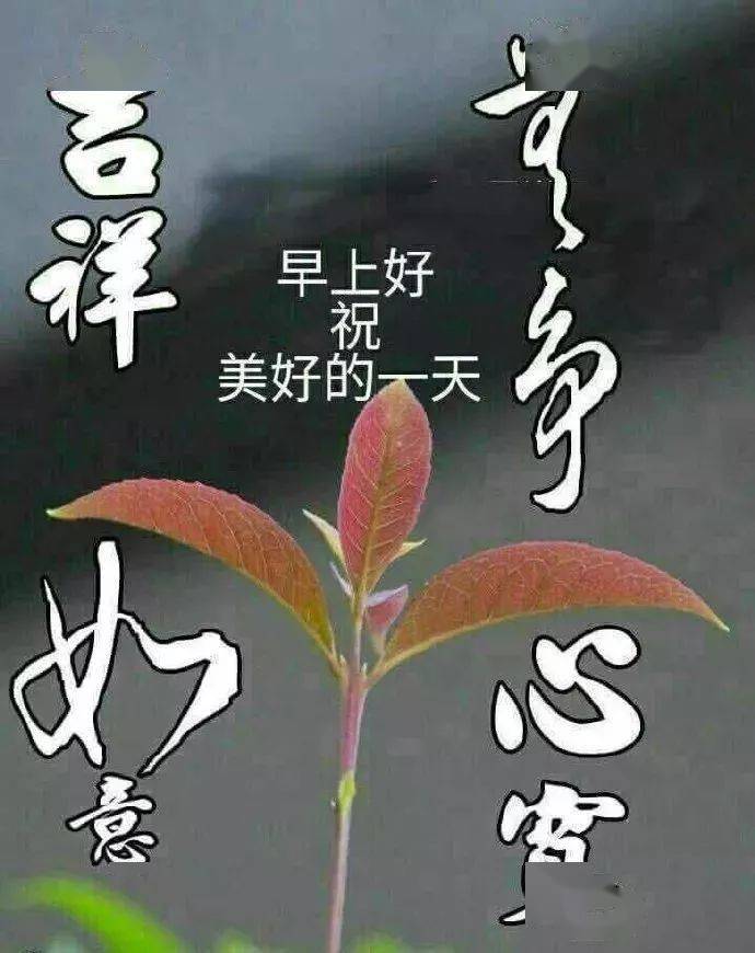 2月2日清晨天冷降溫早安問候唯美祝福圖片早上好溫馨祝福短信