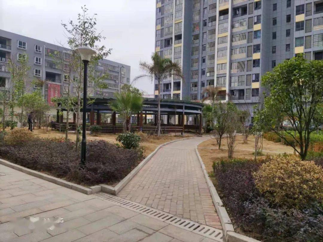 2020年度会昌这些小区物业优秀