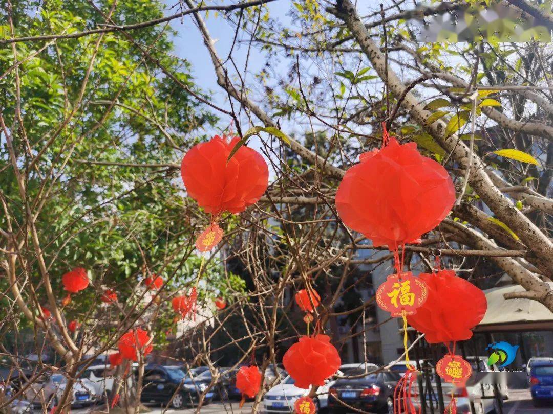 今年鉴于疫情影响,我还是积极响应相关政策的倡议,就在本地过年.