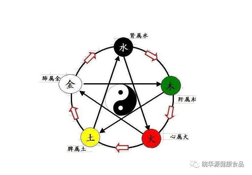 简单来说就是:五行:火木土金水.五脏:心肝脾肺肾.