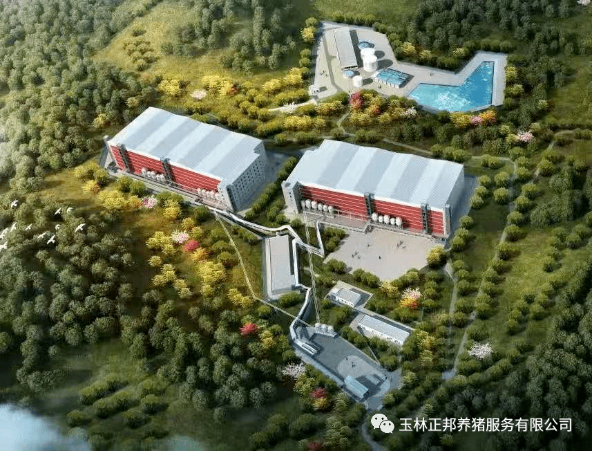 六王镇人口_人口普查