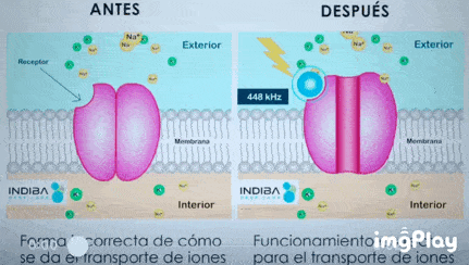 proionic 细胞平衡疗法独特的频率448 khz 可以重新建立细胞的代谢