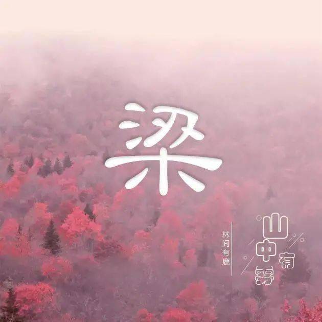 用微信头像说我爱你山中有雾林中有鹿