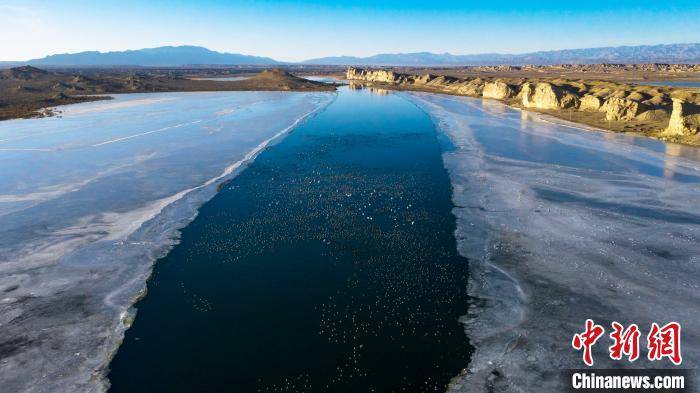 柴达木盆地托素湖湿地引万鸟栖息