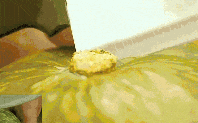 cc92fbb06e0b4a168554690fcbb333b7.gif