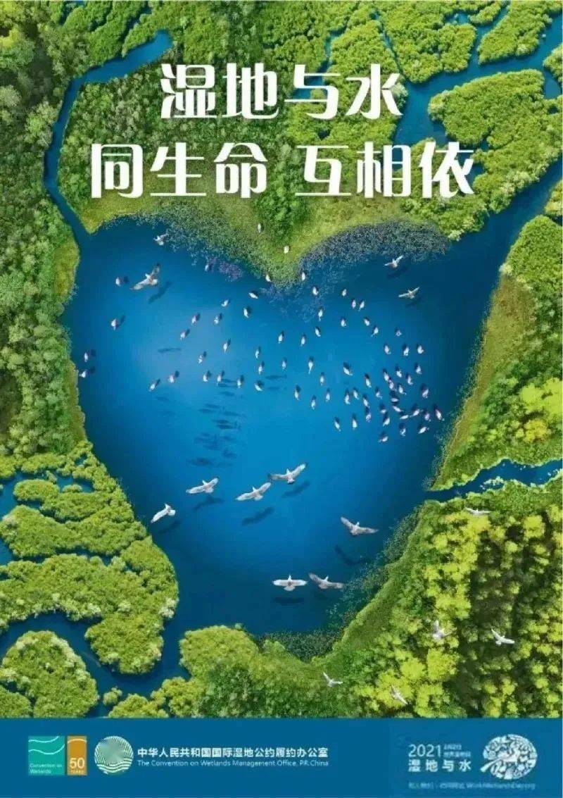 【今日關注】第25屆世界溼地日:溼地與水——同生命,互相依