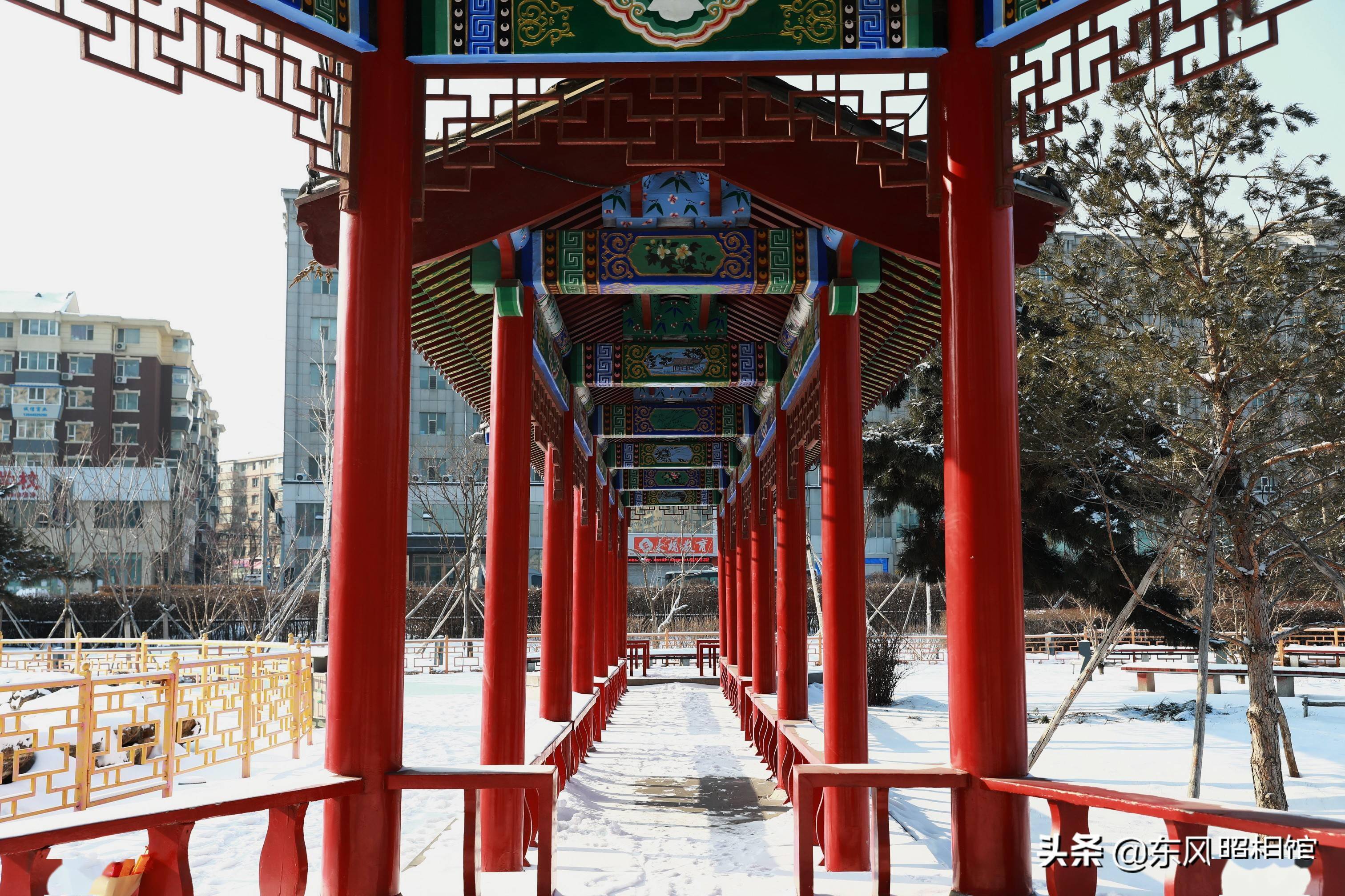 文廟的雪景不妖不嬈,這裡的銀裝素裹有別於東北其他雪景.