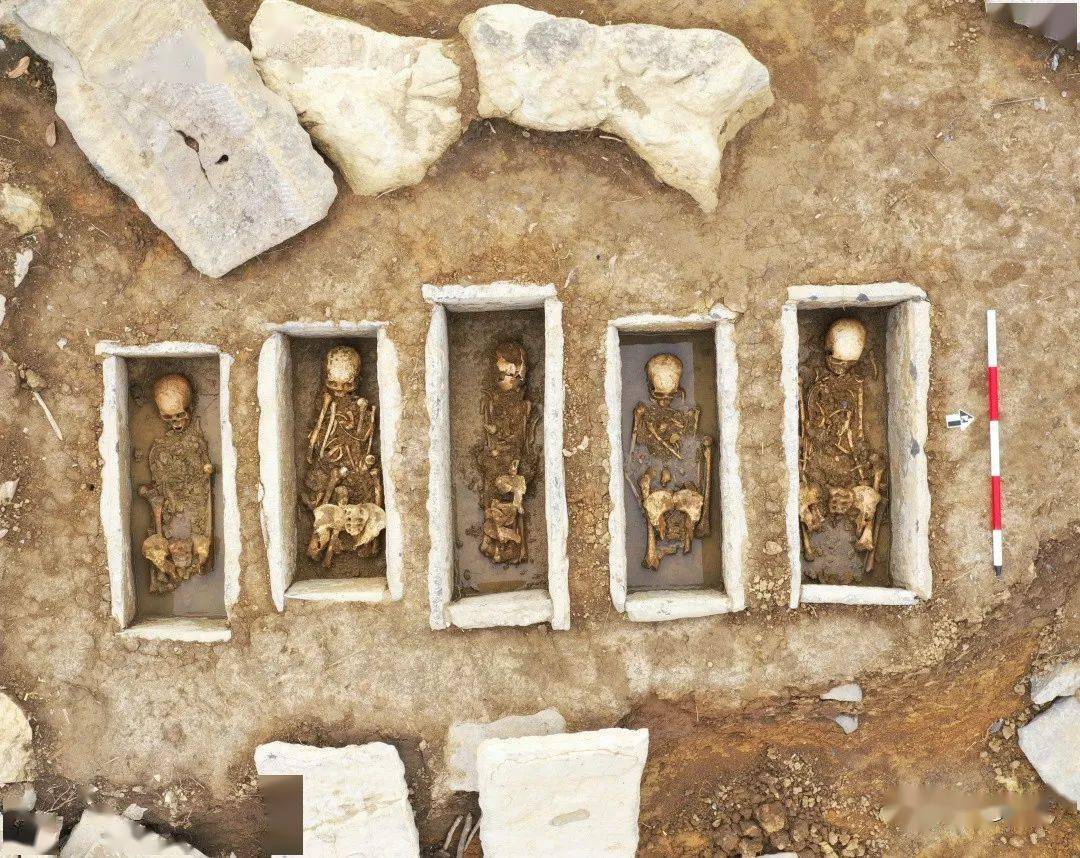 发掘成果新蒲大坟山元明时期墓群