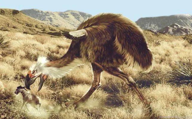 那些怕鸡的明星们并非小题大做恐鸡症是一种再正常不过的现象