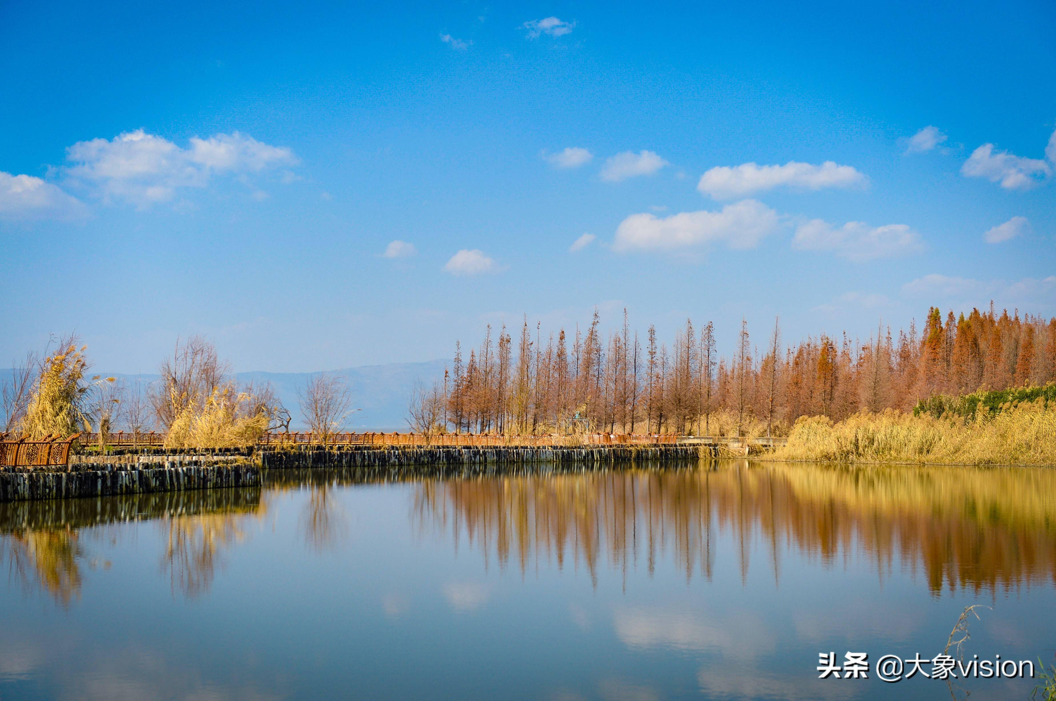 昆明湿地面积62403公顷 王官湿地公园冬日美景