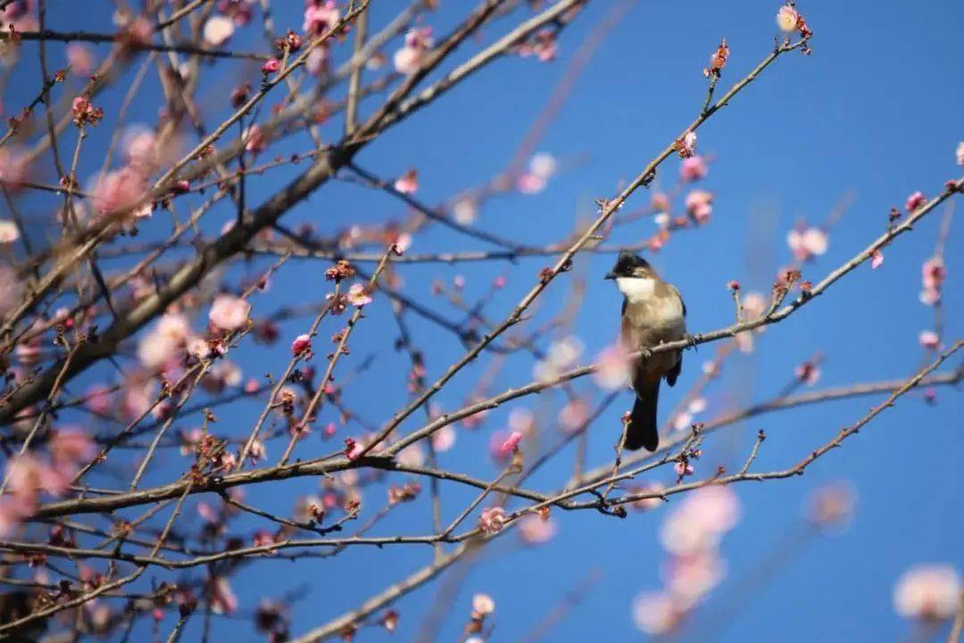 今日立春春回大地万象更新