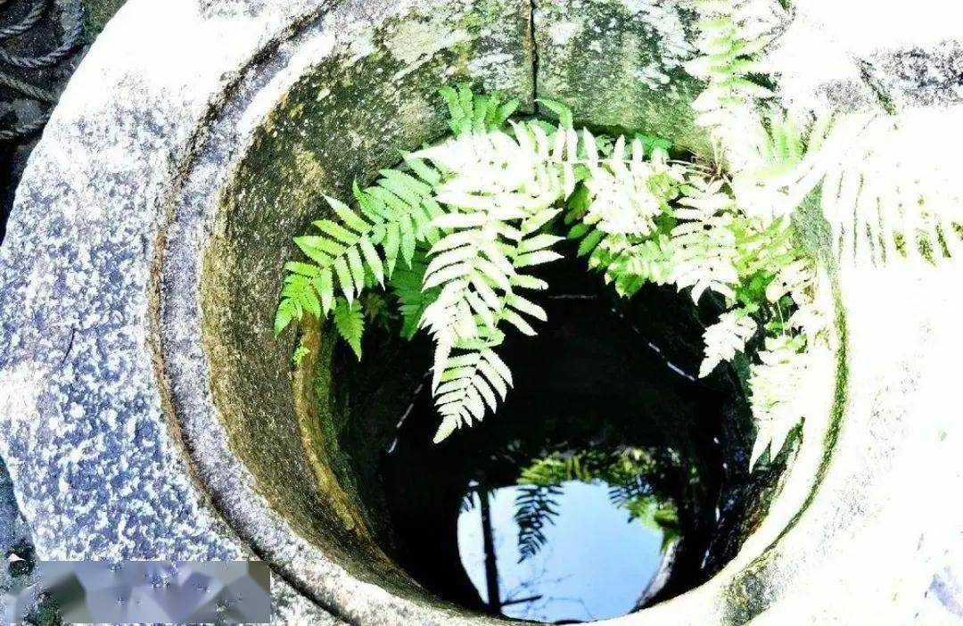沈阳的3口 "百年古井",你知道吗?_手机搜狐网