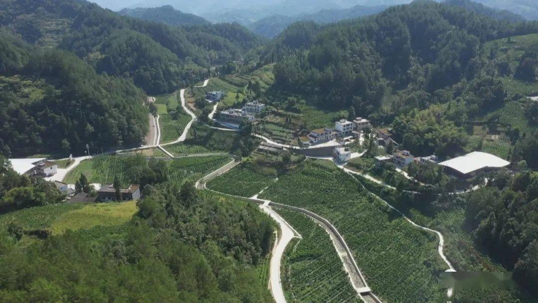 奋斗百年路启航新征程脱贫攻坚答卷金溪镇筲箕滩变金银滩