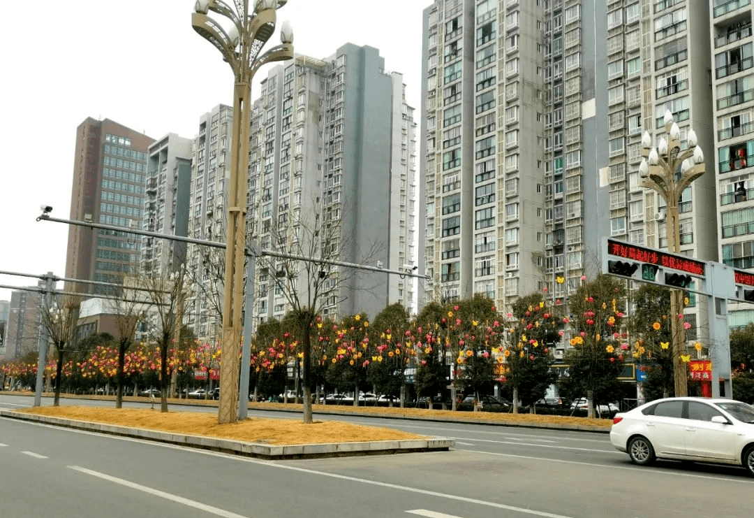 漂亮的板!阆中城区彩灯亮起年味浓